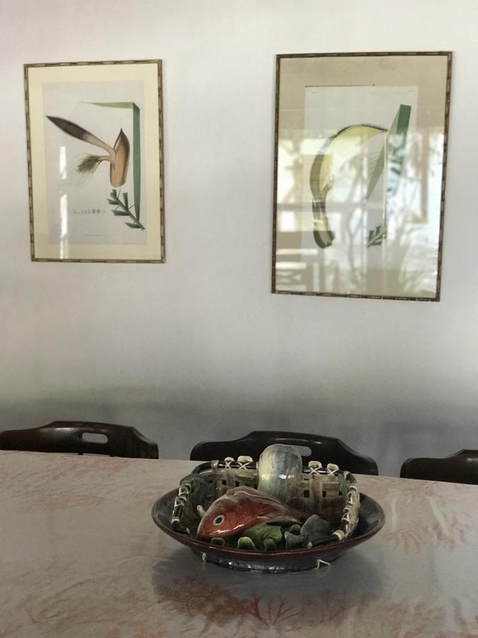 Casa Amor Do Mar Búzios Zewnętrze zdjęcie